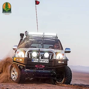 آنتن آفرودی