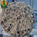 زاپاس بند ماشین