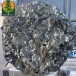 کاور چرخ زاپاس