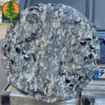 کاور چرخ زاپاس خودرو